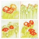 SP0465 Set for canvas: Poppies